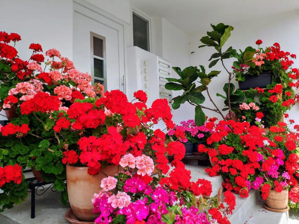 Alpendohle Apartments אינסברוק מראה חיצוני תמונה