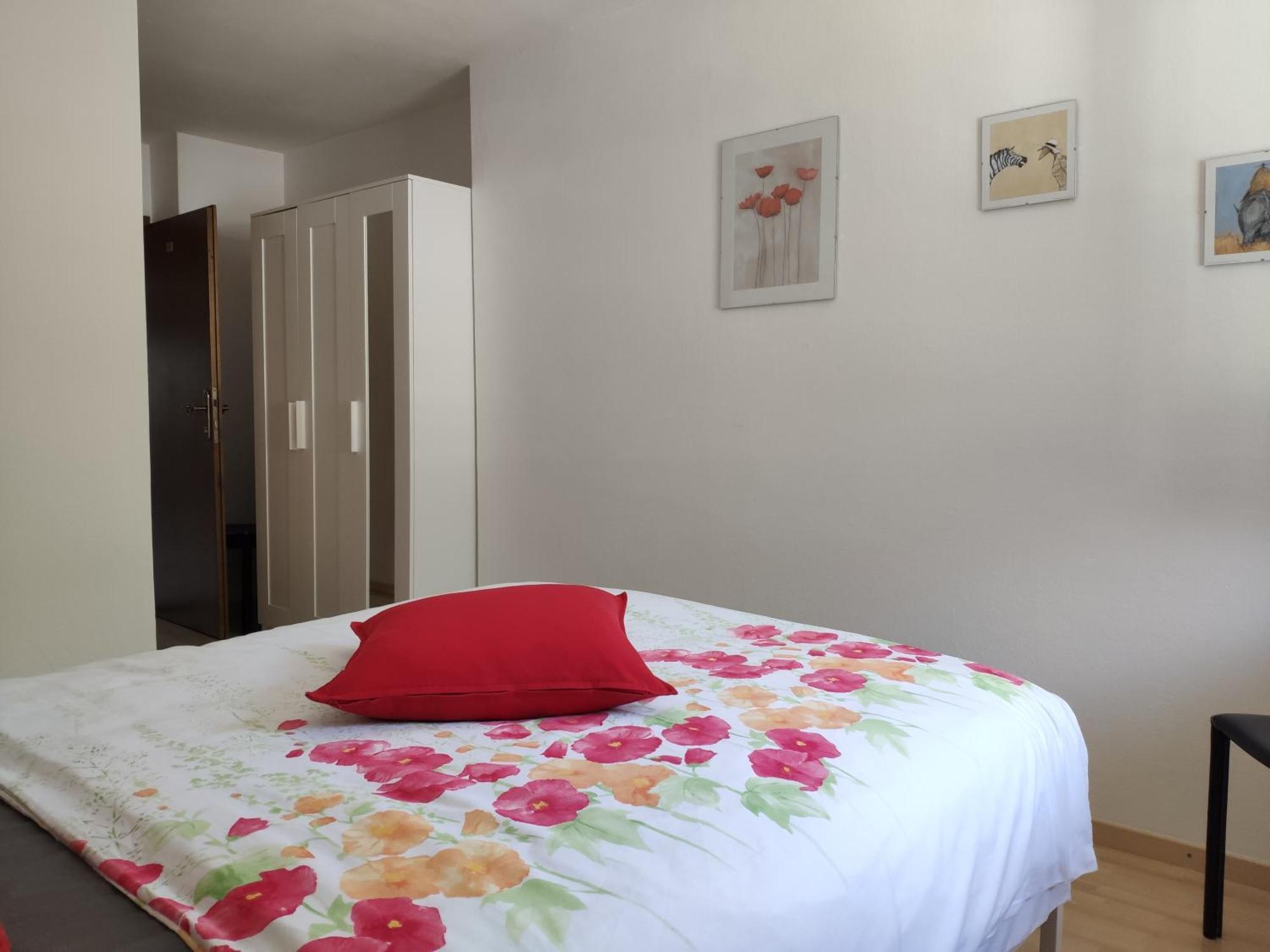 Alpendohle Apartments אינסברוק מראה חיצוני תמונה